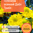 Гелениум осенний Дабл Трабл